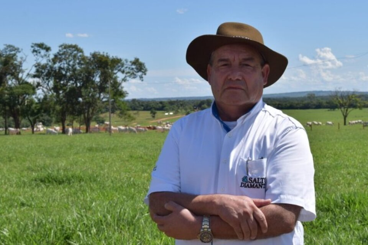 El acta de imputación también recalca el hecho de que Gomes y su hijo armaron una red de empresas, entre ellas Paraguay Autopartes SA y Salto Diamante SA, que fueron usadas para el lavado de dinero proveniente del mundo narco y de otros negocios ilícitos. El acta de imputación también recalca el hecho de que Gomes y su hijo armaron una red de empresas, entre ellas Paraguay Autopartes SA y Salto Diamante SA, que fueron usadas para el lavado de dinero proveniente del mundo narco y de otros negocios ilícitos.