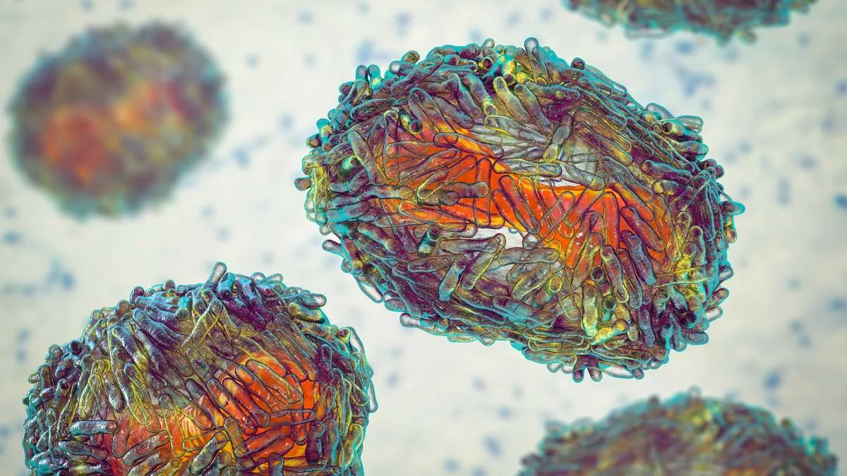 Clado I, la variante muy contagiosa, letal y peligrosa asociado al brote de la enfermedad. Clado I, la variante muy contagiosa, letal y peligrosa asociado al brote de la enfermedad.