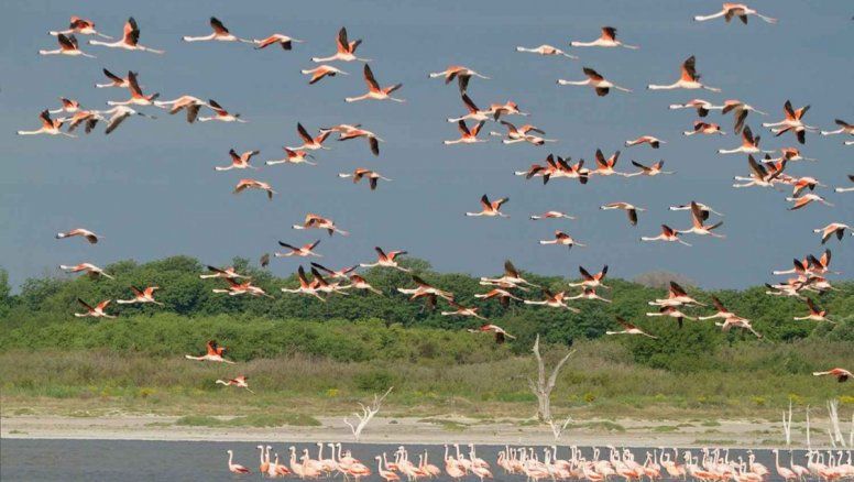 Nuevo parque nacional aprobado en Diputados: ¿Dónde queda?