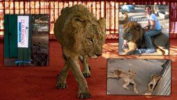 El zoo de Luján, otra vez en el ojo de la tormenta. El zoo de Luján, otra vez en el ojo de la tormenta.