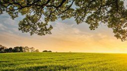 altText(Fuerte apoyo de los ministros de Agricultura para desactivar el paro del campo)}