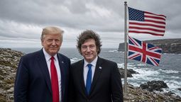 Javier Milei promoviendo cambio de bandera en Islas Malvinas, según Grok.
