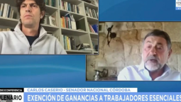 altText(Video: Caserio y Lousteau a los gritos en plena videoconferencia del Senado)}