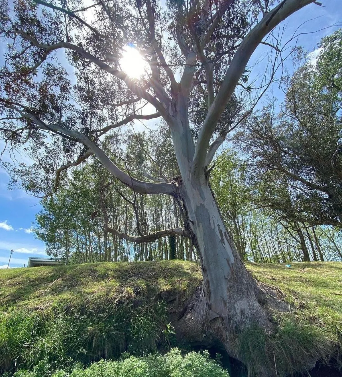 Foto: rock.surfer Foto: rock.surfer