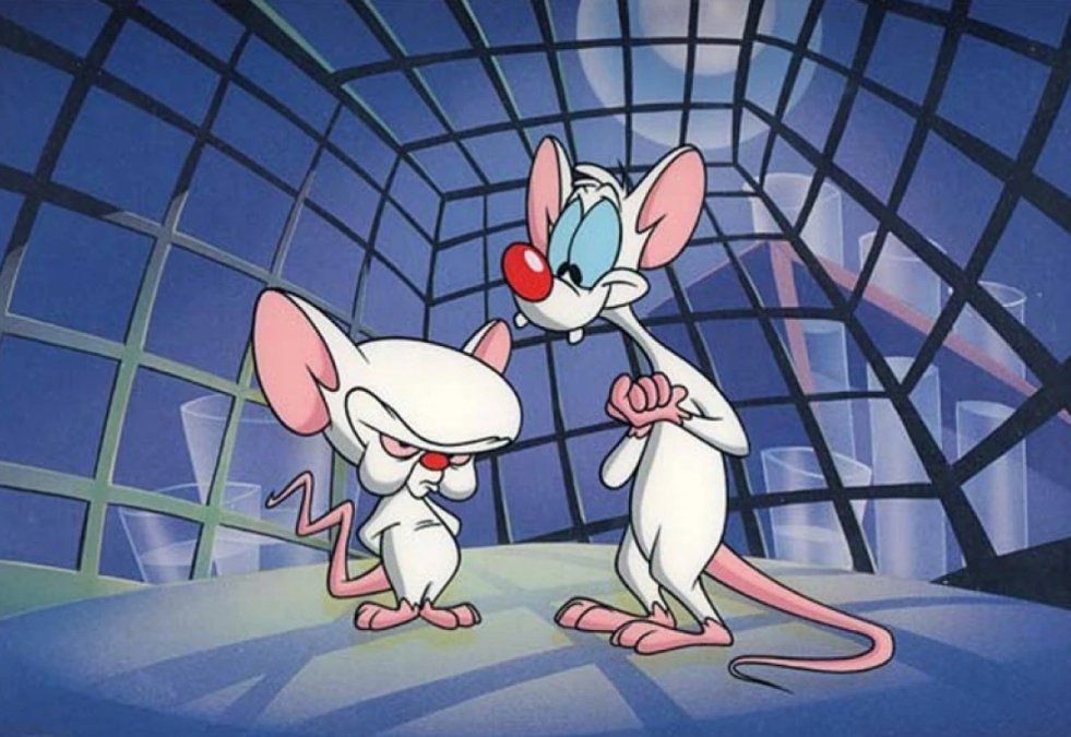 Pinky y Cerebro.