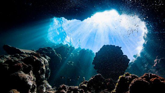 Ciencia: El oxígeno oscuro del océano desafía todo lo que sabíamos