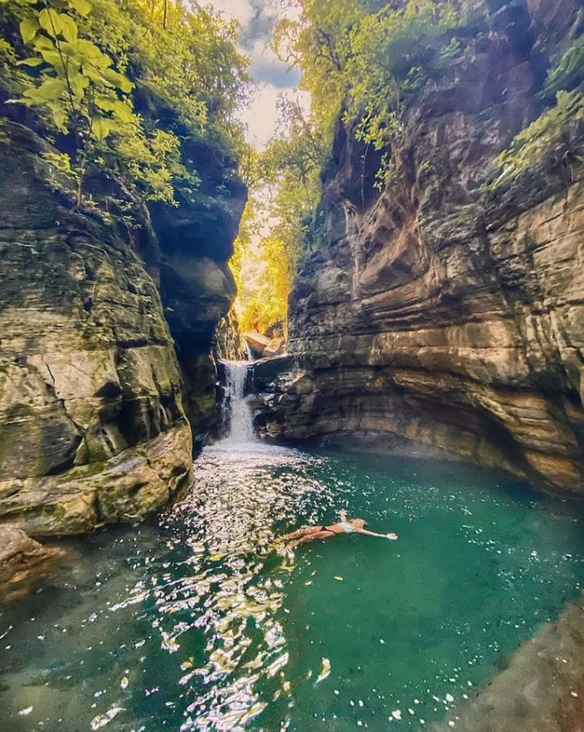 La selva jujeña esconde grandes paraísos dentro de Argentina. La selva jujeña esconde grandes paraísos dentro de Argentina.