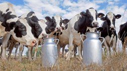 altText(Tras salto cambiario: Al récord de leche se le viene un sinceramiento de precios)}