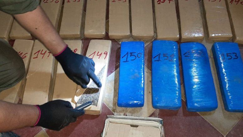 Éxito total del ecosistema del narcotráfico