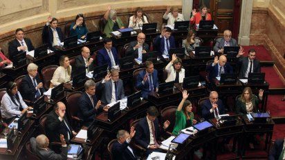 Dos senadores radicales piden formalmente no recibir el aumento de dietas