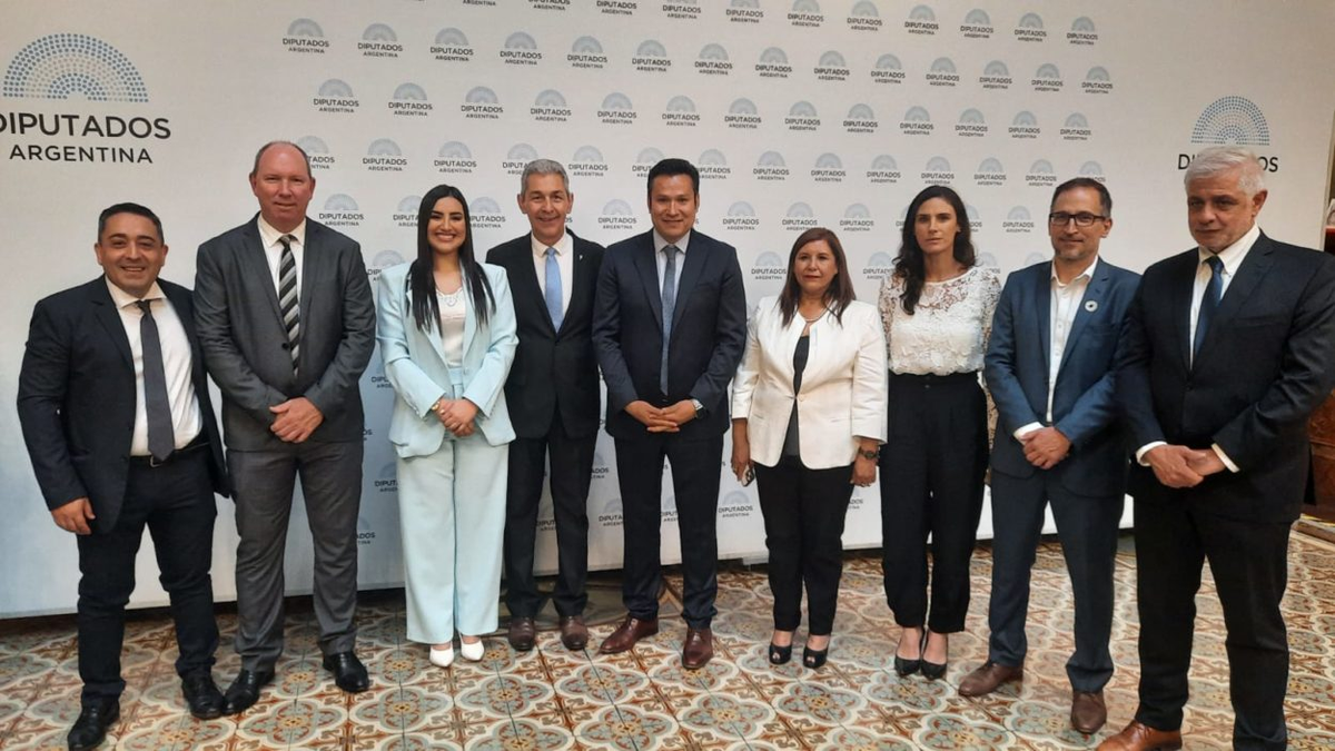 El bloque de Innovación Federal, con diputados de distintas provincias. El bloque de Innovación Federal, con diputados de distintas provincias.