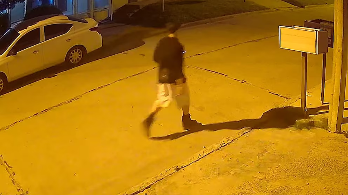 Mía Martínez volvió y encontró la casa vacía: cámaras, ropa, recuerdos y hasta joyas familiares, tras un robo planificado con campana y ventiluz. Mía Martínez volvió y encontró la casa vacía: cámaras, ropa, recuerdos y hasta joyas familiares, tras un robo planificado con campana y ventiluz.