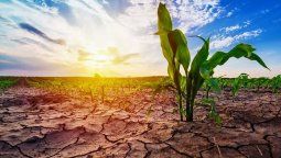 Sequía: Se disipa El Niño y hay preocupación en el campo por la llegada de La Niña