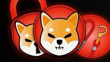 Shiba Inu, la cripto que es furor Shiba Inu, la cripto que es furor