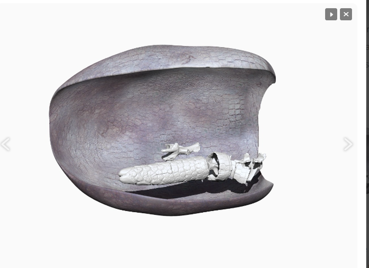Desde estudios geológicos hasta escaneos 3D de alta resolución, no dejaron piedra sin voltear para confirmar la edad y el origen de las marcas. Desde estudios geológicos hasta escaneos 3D de alta resolución, no dejaron piedra sin voltear para confirmar la edad y el origen de las marcas.