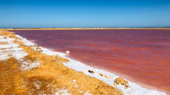 Salinas de Las Cumaguaras, también conocida como la playa rosada de Venezuela / Foto: TripAdvisor Salinas de Las Cumaguaras, también conocida como la playa rosada de Venezuela / Foto: TripAdvisor