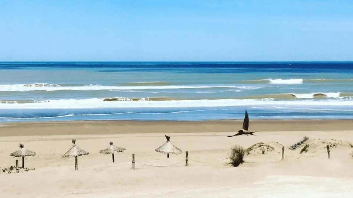 Maravillosa: Una playa solitaria y escondida en Buenos Aires