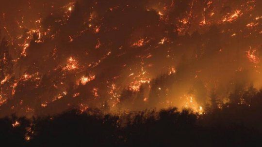 ¿Por qué Javier Milei no viajó a Patagonia?; el ICE de USA detuvo a niño de 5 años