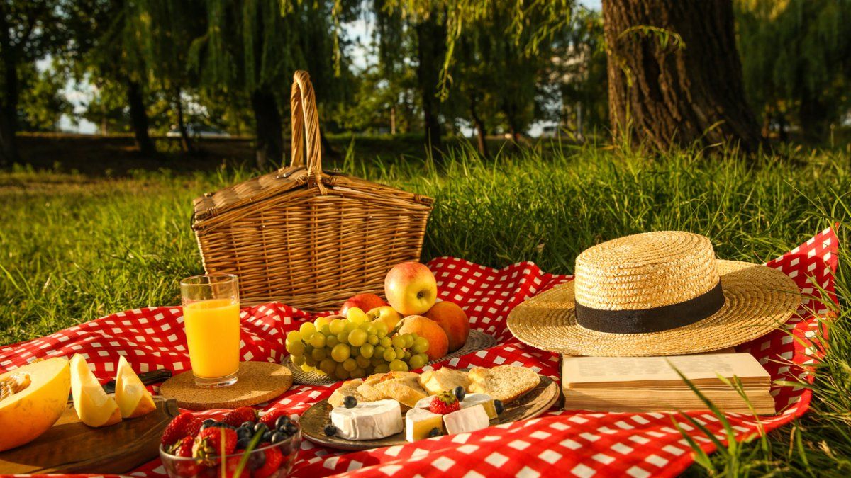 Los Mejores Lugares De Buenos Aires Para Hacer Un Picnic 8032