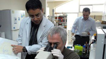 gravisimo: los universitarios argentinos no quieren estudiar ciencia ni tecnologia gravisimo: los universitarios argentinos no quieren estudiar ciencia ni tecnologia