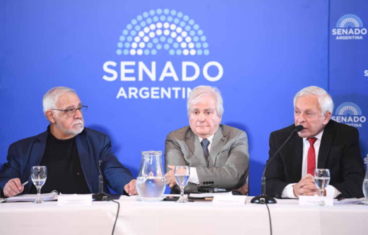 El juez Víctor Pesino cuando expuso en el Senado.