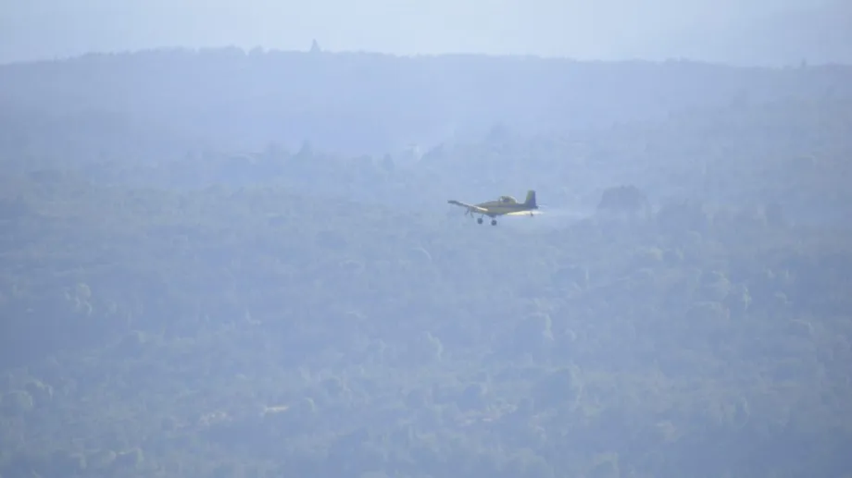 Por el incendio en el Parque Nacional Los Alerces, que ayer cubrió de humo la ciudad de Esquel, evacuaron a 4 familias. Por el incendio en el Parque Nacional Los Alerces, que ayer cubrió de humo la ciudad de Esquel, evacuaron a 4 familias.