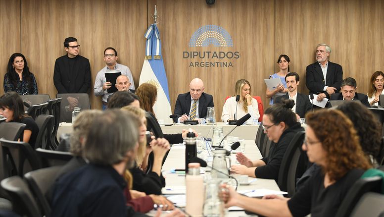 Diputados: Se hunde la prórroga de la moratoria previsional