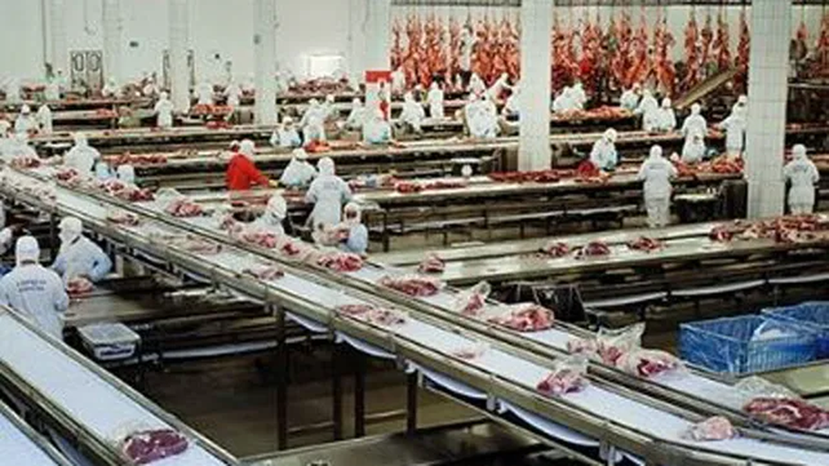 Swift Argentina decidió paralizar desde el miércoles sus operaciones en las plantas ubicadas en Villa Gobernador Gálvez y Venado Tuerto, provincia de Santa Fe. La medida afecta a unas 2500 personas, y en principio, el parate es por 15 días pero dado el escenario existe la posibilidad de que la paralización se extienda en el tiempo.