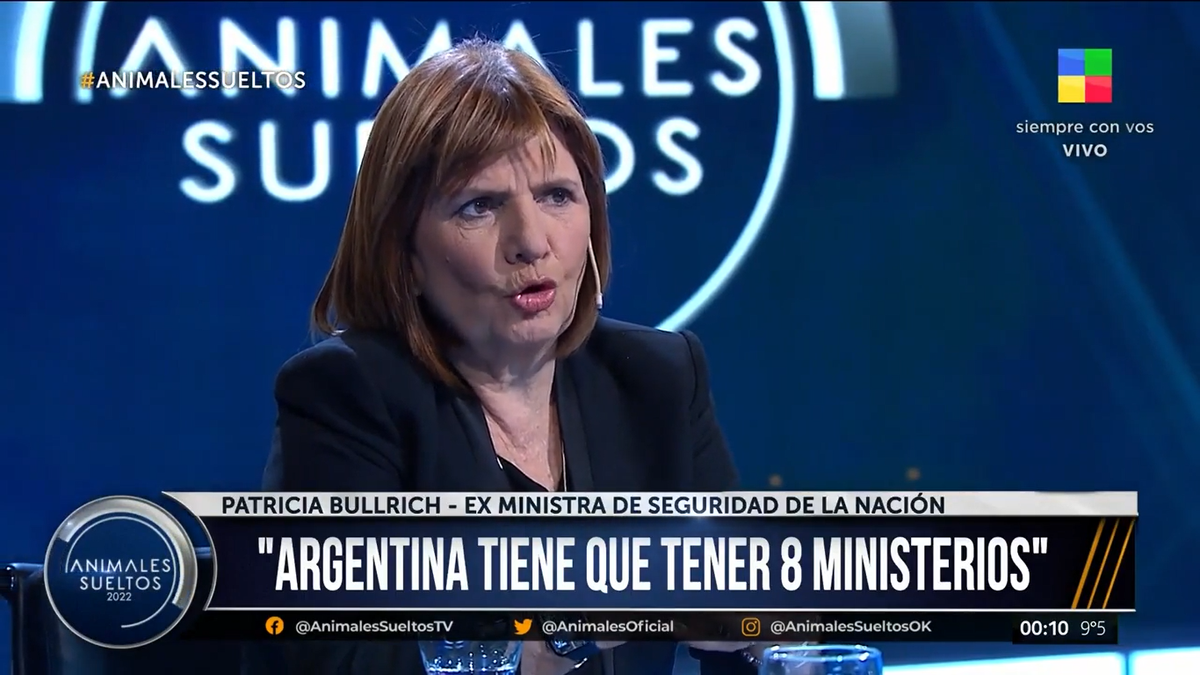 Patricia Bullrich en Animales Sueltos por América TV.
