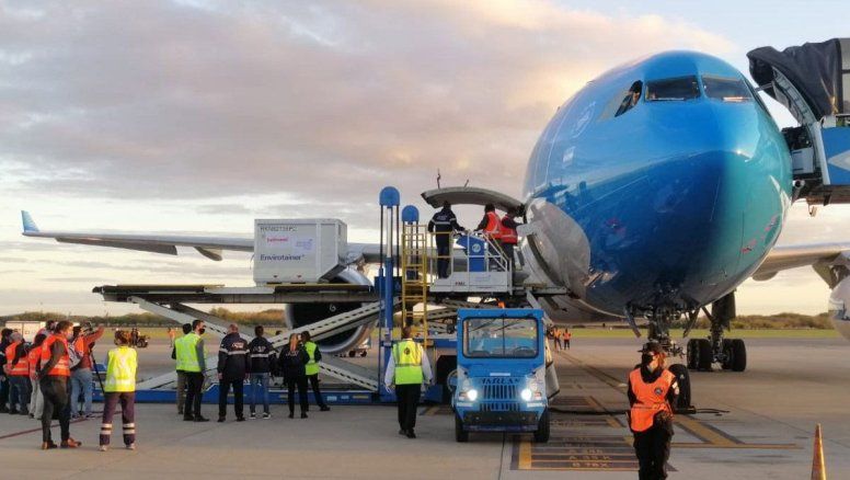 El Gobierno nacional echó a trabajadores de Intercargo y aeronáuticos señalan 