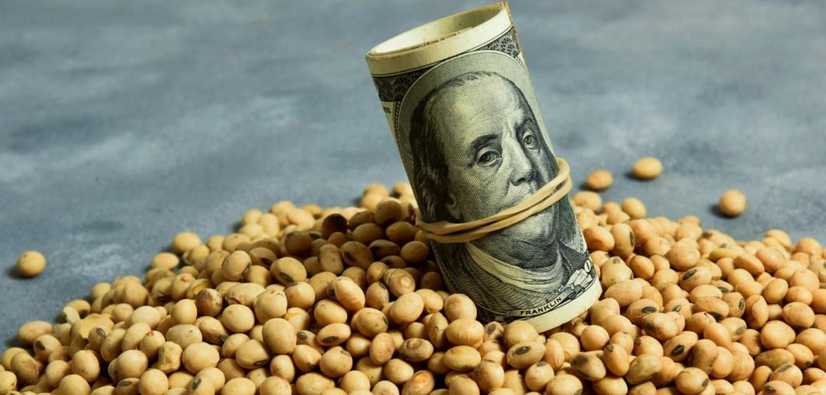 Uno de cada US$4 que exporta Argentina es de la soja.