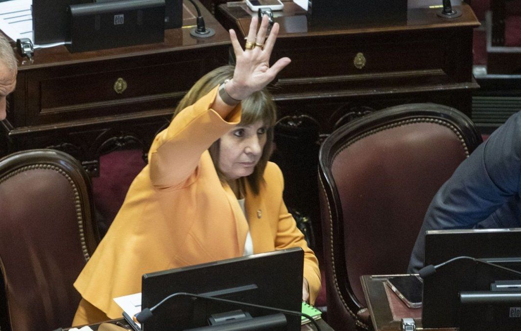 Patricia Bullrich en su banca del Senado. Patricia Bullrich en su banca del Senado.