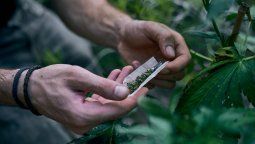 La creencia de que el cannabis potencia la creatividad está muy arraigada, pero la ciencia acaba de desmitificarla.