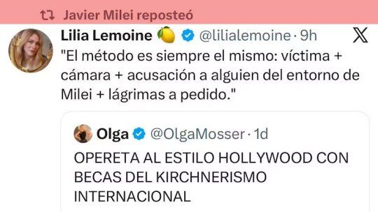 Uno de los mensajes que ponen en duda el ataque a la expareja de Cerimedo que compartió Milei.&nbsp;