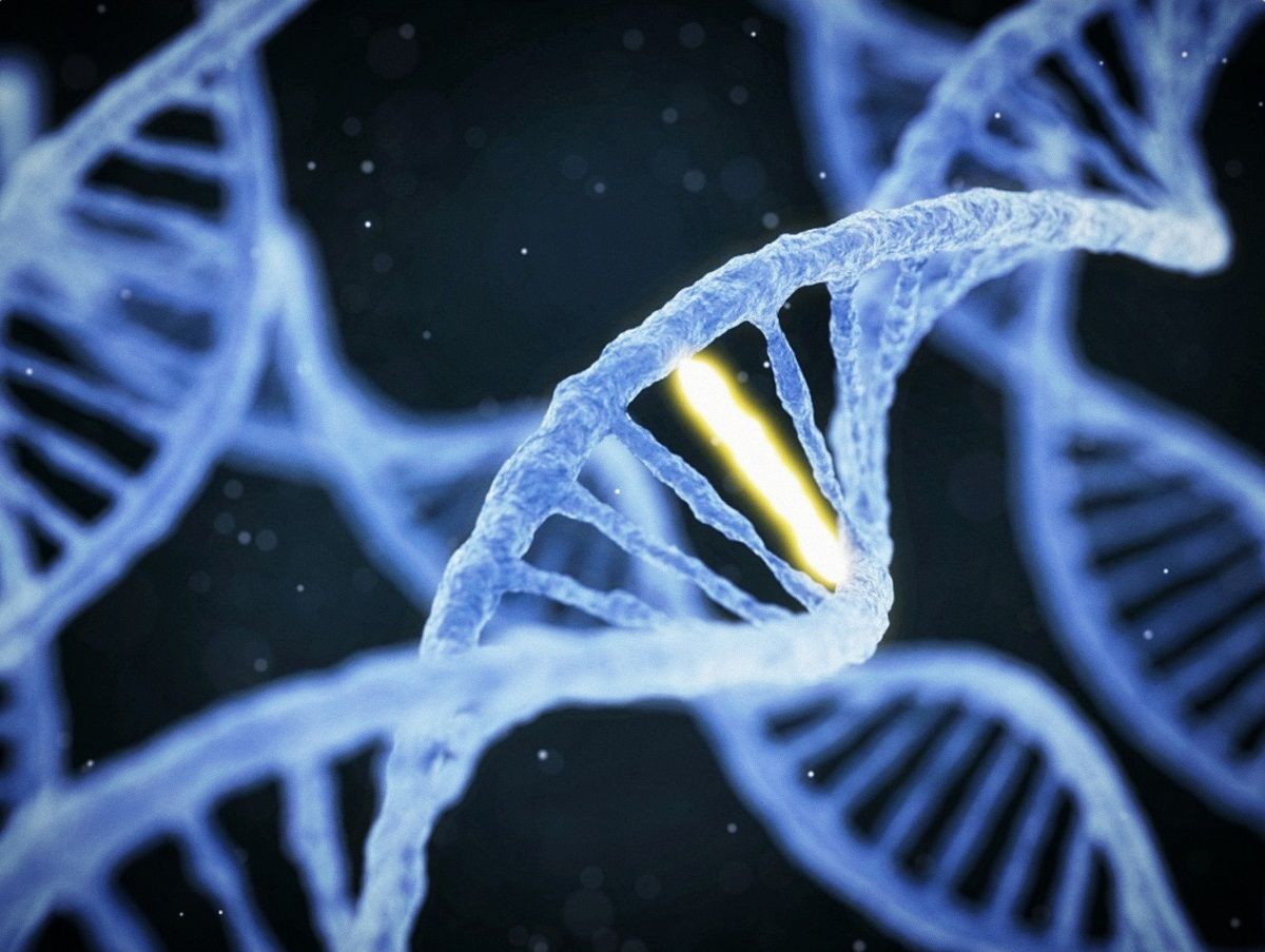 La posibilidad a ser alcohólicos se descubre leyendo los genes de cada individuo porta desde el día que nació