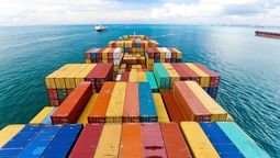 La incógnita es si llegarán a diciembre para que el ingreso de los dólares de la cosecha de trigo permita aliviar el acceso a divisas para importar.