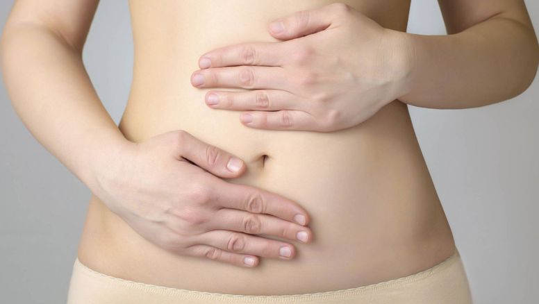 Científica revela los mejores alimentos para los microbios de tu intestino