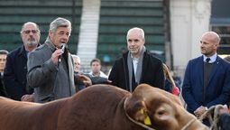 Rodríguez Larreta en La Rural con el primer animal que ingresó al predio: el toro Nicanor (Foto: NA)