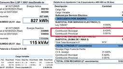 Piden que se deje de cobrar doble impuesto y proponen que los funcionarios que lo hagan vayan presos.