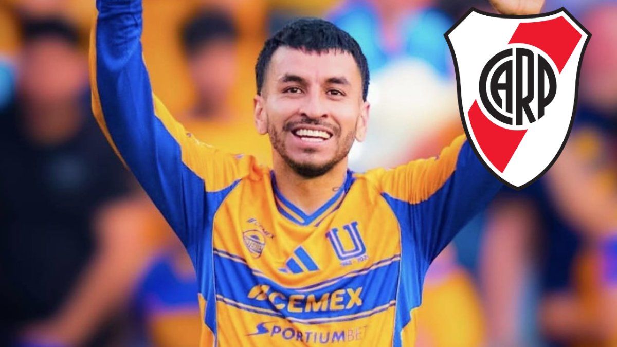 Ángel Correa, el delantero argentino que River busca repatriar mientras Tigres mantiene firme su postura y exige una cifra cercana a los US$18 millones. Ángel Correa, el delantero argentino que River busca repatriar mientras Tigres mantiene firme su postura y exige una cifra cercana a los US$18 millones.