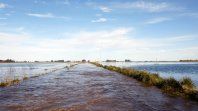 Por inclemencias climáticas, Luis Caputo declaró la emergencia agropecuaria en 9 de Julio y Necochea.&nbsp;