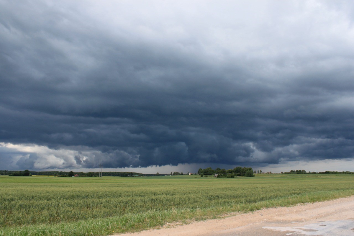 El Niño suele aumentar las lluvias en la región pampeana, mejorando la humedad de los suelos y las perspectivas agrícolas. Tras años de sequía, el campo podría encontrar condiciones mucho más favorables. Foto: Argentina.gob.ar El Niño suele aumentar las lluvias en la región pampeana, mejorando la humedad de los suelos y las perspectivas agrícolas. Tras años de sequía, el campo podría encontrar condiciones mucho más favorables. Foto: Argentina.gob.ar