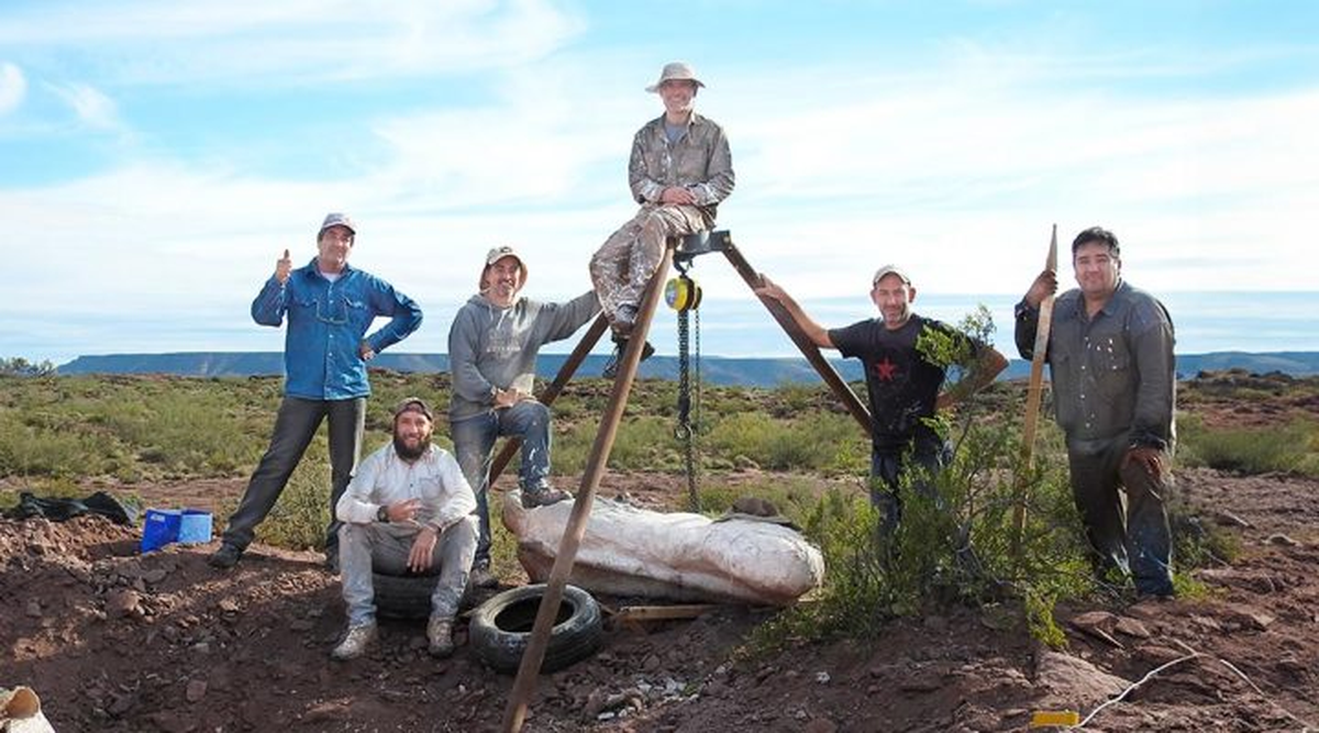 Este hallazgo confirma que los rebaquisáuridos coexistieron con titanosaurios en el Cenomaniano de la Patagonia, evidenciando una transición más compleja hacia el dominio exclusivo de los titanosaurios en Sudamérica.