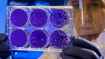 Virus en el laboratorio: Hacen más que sólo causar enfermedades. Virus en el laboratorio: Hacen más que sólo causar enfermedades.