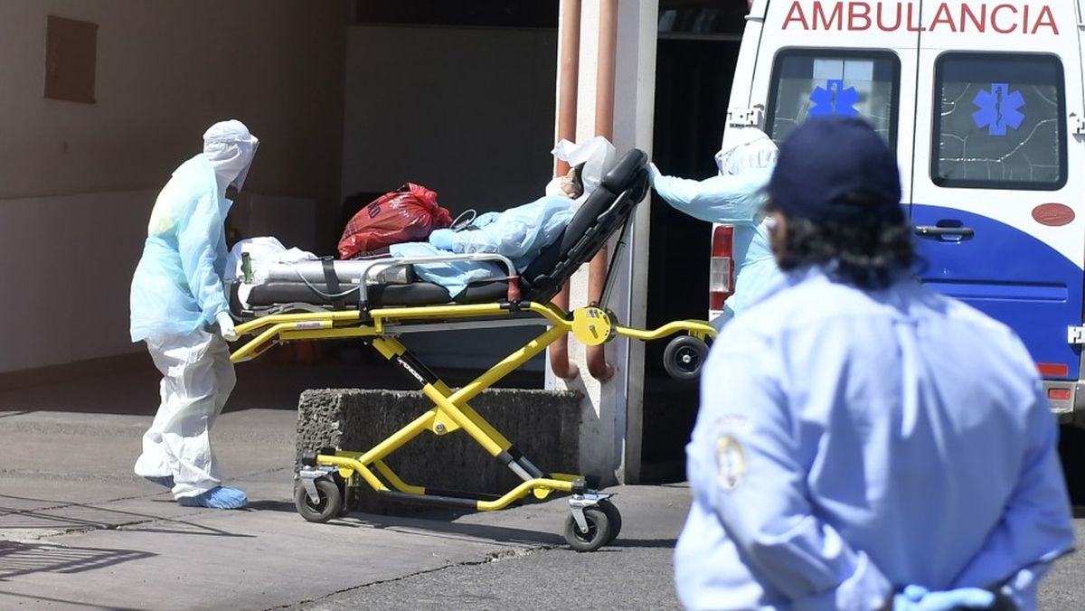 José Luis Espert provoca una pregunta: ¿Habrá leido el Manuel del Buen Ambulanciero?