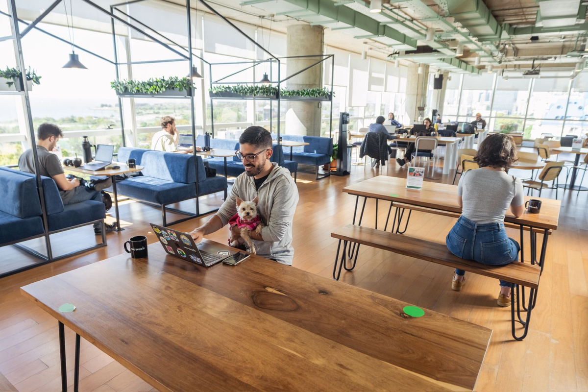 Hay muchos pros a la hora de emplear la inteligencia artificial en el trabajo. (Foto: WeWork). Hay muchos pros a la hora de emplear la inteligencia artificial en el trabajo. (Foto: WeWork).
