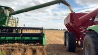 La maquinaria agrícola china irrumpió también en el campo.