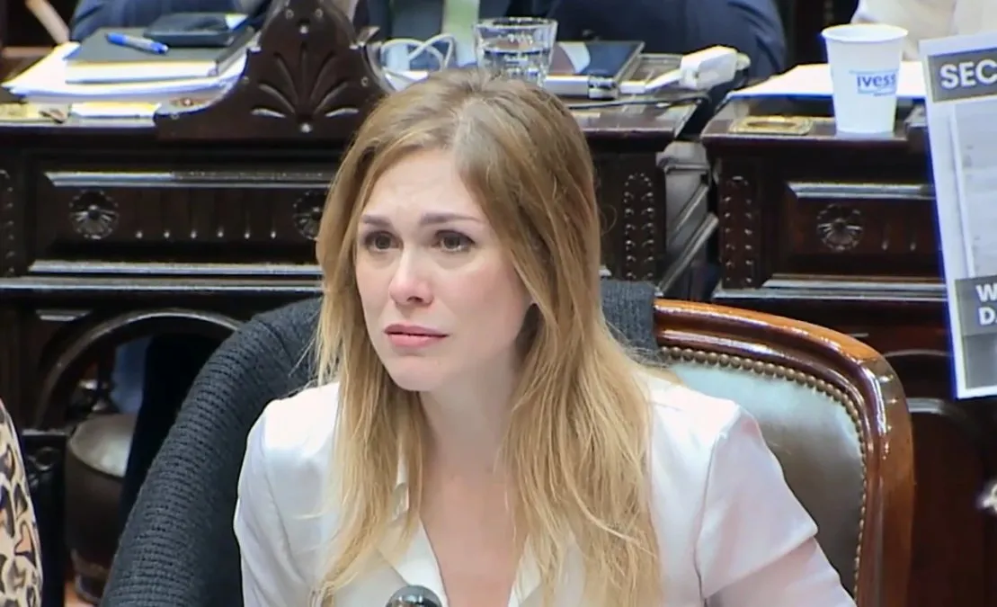 Lilia Lemoine lanzó duras acusaciones en un debate de LN+ .