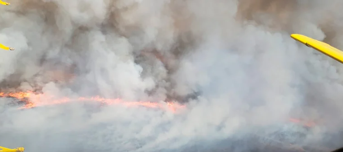 Jorge Heider, director de Planificación y Prevención del Servicio Nacional de Manejo del Fuego del Ministerio de Ambiente de la Nación, dijo que