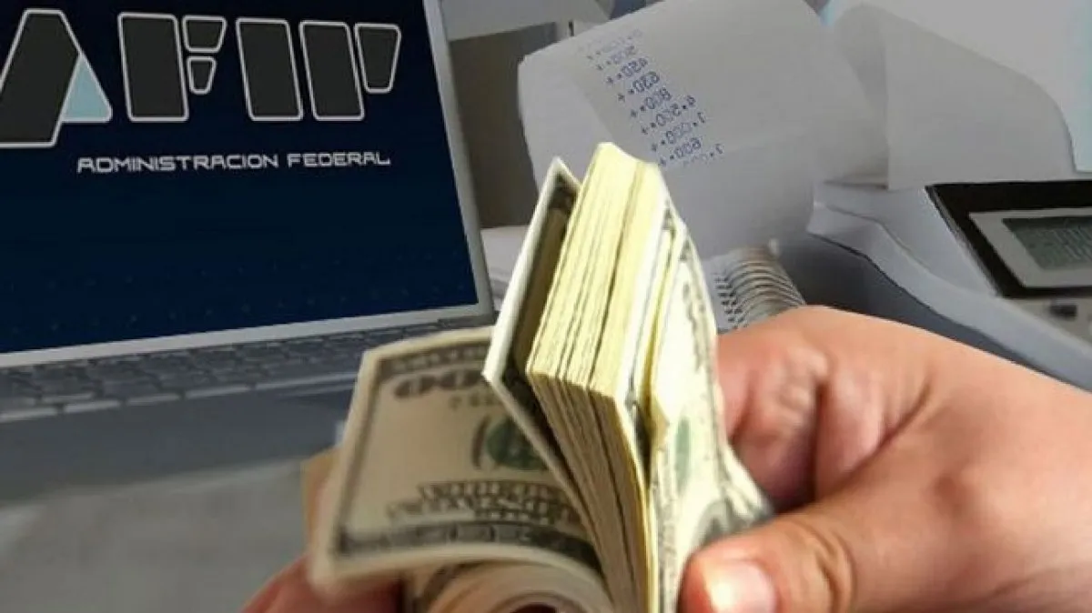 Esto incluye las compras de dólar ahorro y dólar tarjeta. Esto incluye las compras de dólar ahorro y dólar tarjeta.